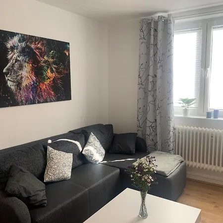 Apartment Grosse Moderne Ferienwohnung, Zentrale Ruhige Lage *