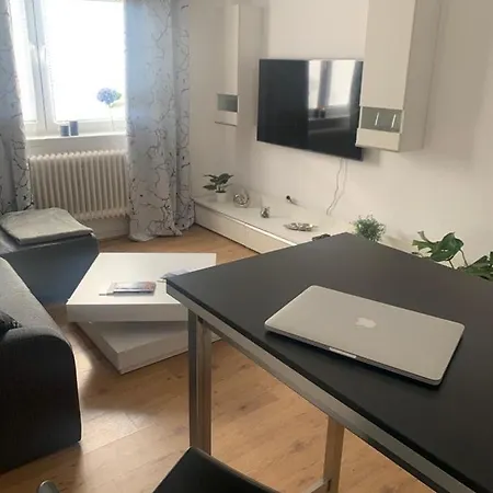 Apartment Grosse Moderne Ferienwohnung, Zentrale Ruhige Lage