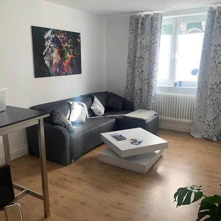 Apartment Grosse Moderne Ferienwohnung, Zentrale Ruhige Lage